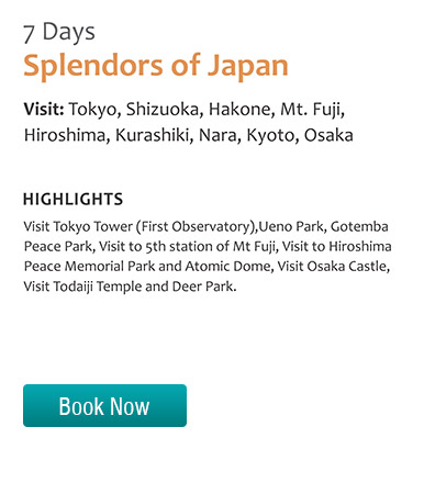 7 Days Splendors of Japan