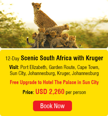 12 Days Scenic South Africa with Kruger